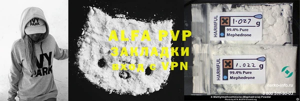шишки Арсеньев