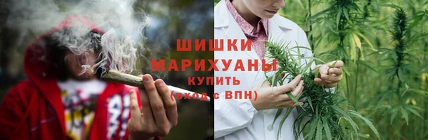 сатива Аркадак