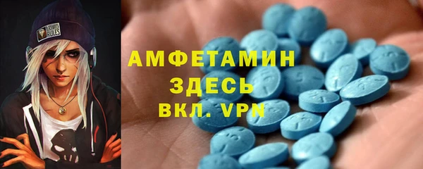 шишки Арсеньев