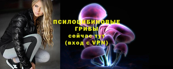 сатива Аркадак