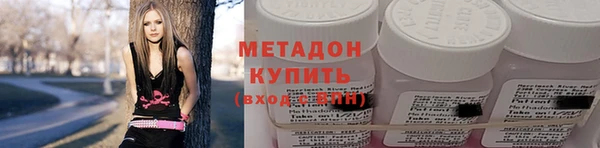 шишки Арсеньев