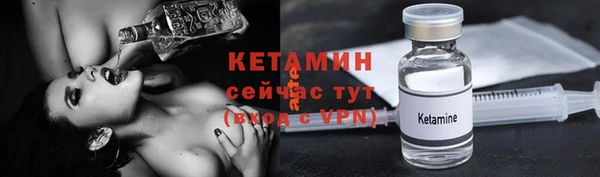 сатива Аркадак