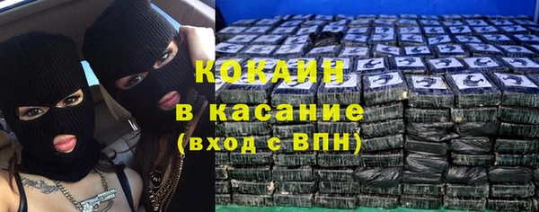 сатива Аркадак
