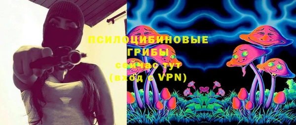 сатива Аркадак
