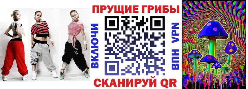 хочу наркоту  Рыбное  Псилоцибиновые грибы мухоморы 
